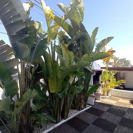 Villa Juncos Can Furnet Bagian luar foto