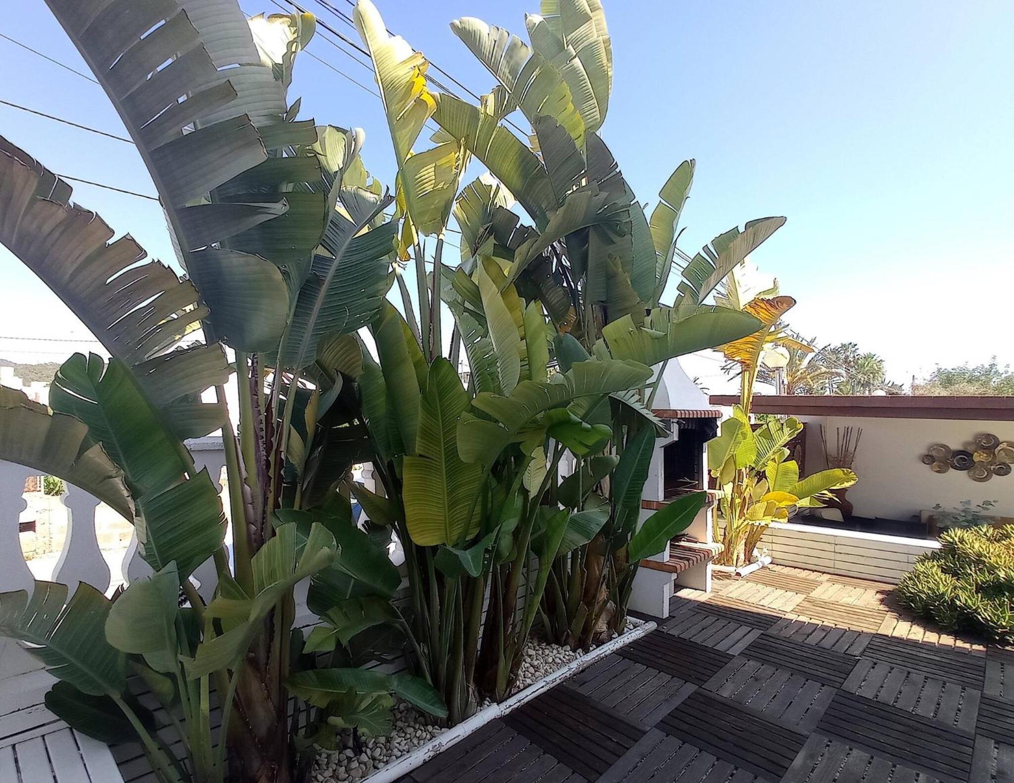 Villa Juncos Can Furnet Bagian luar foto